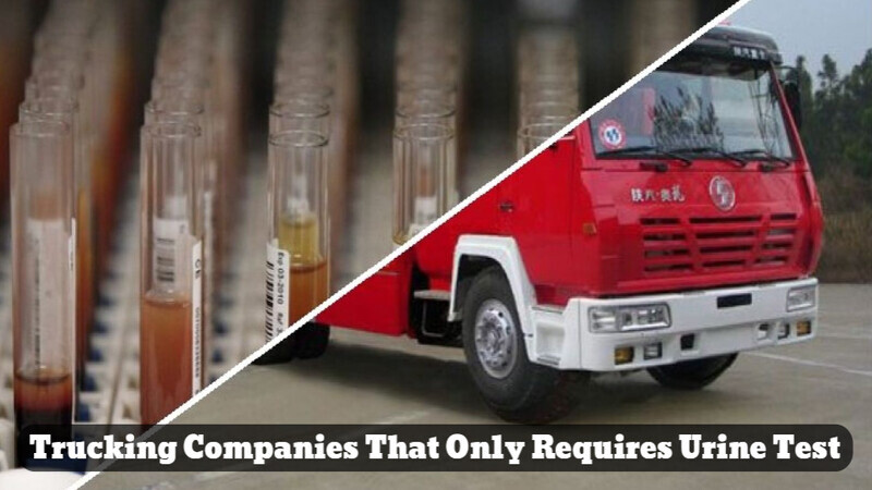 Truck Companies That Only Urine Test